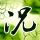 九三阅兵直播总导演谈超级运镜